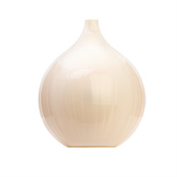 Емкость для лука М942 - фото 129341