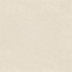 Обои EURO DECOR Atlas фон 7240-01 виниловые 1,06*10,05м (1упак-6рул) - фото 129777