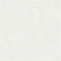 Обои EURO DECOR Ceylon фон 9225-00 виниловые 1,06*10,05м (1упак-6рул) - фото 130003