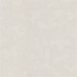 Обои EURO DECOR Ceylon фон 9225-02 виниловые 1,06*10,05м (1упак-6рул) - фото 130006