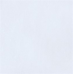 Обои ERISMANN г.Москва It’s My ROOM 60671-05 1,06*10,05м (1упак-6рул) - фото 130962