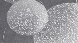 Обои АСПЕКТ РУ Элис декор 75240-44 1,06*10,05м (1упак-6рул) - фото 131346