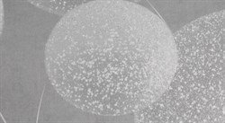 Обои АСПЕКТ РУ Элис декор 75240-41 1,06*10,05м (1упак-6рул) - фото 131350