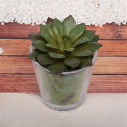 Цветок искусственный СУККУЛЕНТ 6*9см ZPY-07 951-175 - фото 131599