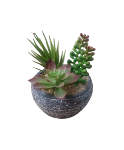 Растение искусственное СУККУЛЕНТЫ в горшке 11х15см, в ассортименте 321000050 - фото 131654