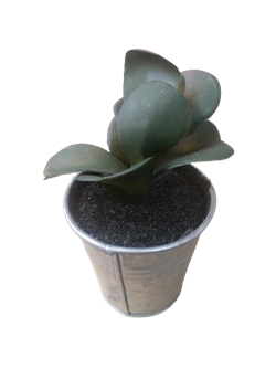 Растение искусственное в горшке 6х6х10см, в ассортименте 317002650 - фото 131656