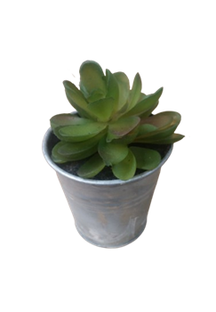 Растение искусственное в горшке 6х6х10см, в ассортименте 317002650 - фото 131658