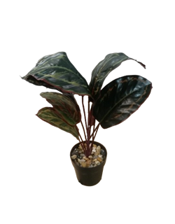 Растение искусственное в горшке 10х8х30см, в ассортименте 317002880 - фото 131692