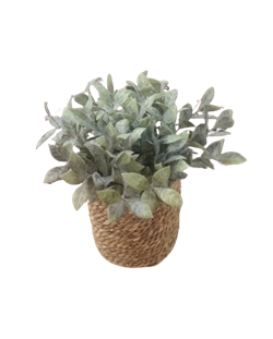 Растение искусственное в горшке 23см, в ассортименте 317221010 - фото 131701