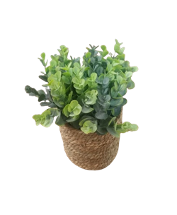 Растение искусственное в горшке 23см, в ассортименте 317221010 - фото 131702