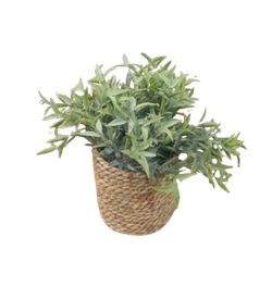 Растение искусственное в горшке 23см, в ассортименте 317221010 - фото 131703