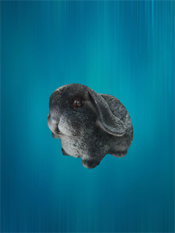 Статуэтка КРОЛИК 16х10х10,5см, в ассортименте 795003270 - фото 131751