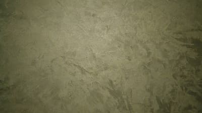 Штукатурка декоративная SHINE Velvet 21 2кг - фото 13194