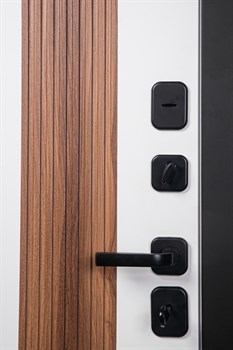 Дверь металлическая АМБАССАДОР-2050/860/R - фото 132573