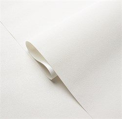 Обои VS Altai фон 287012 виниловые 1,06*10,05м (1упак-6рул) (МАЯКПРИНТ) - фото 133353