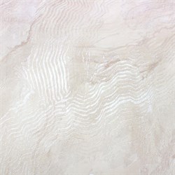 Обои ERISMANN г.Москва Profi Deco Del Mar 60576-04 1,06*10,05м (1упак-6рул) - фото 134456