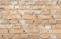 Обои ЛАНИТА ЭШТ Флэт (бежевый) ЭШТ5-1538 1,06*10,05м (1упак-6рул) - фото 136968