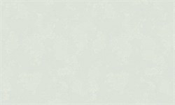 Обои ERISMANN г.Москва Silk 60731-05 1,06*10,05м (1упак-9рул) - фото 137533