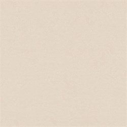 Обои EURO DECOR Sahara 6061-02 виниловые 1,06*10,05м (1упак-6рул) - фото 137645