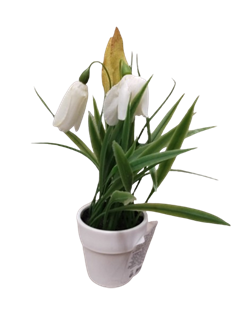 Растение искусственное в горшке 23см, в ассортименте 317355000 - фото 138112