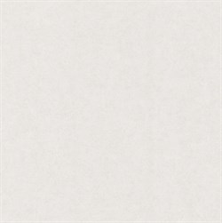 Обои МОСКОВСКИЕ Аркадия-фон 6342-1 0,53*10м (1упак-12рул) - фото 140638