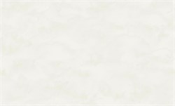 Обои ERISMANN г.Москва Floris 60924-04 1,06*10,05м (1упак-6рул) - фото 141408