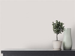 Обои VS Olive фон 589226 виниловые 1,06*10,05м (1упак-6рул) (МАЯКПРИНТ) - фото 141693