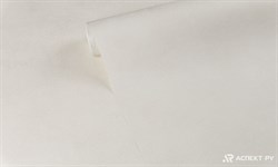 Обои АСПЕКТ РУ Дюна фон 70655-11 1,06*10,05м (1упак-6рул) - фото 142056