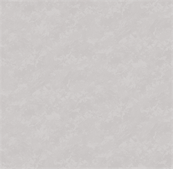 Обои VS Astra фон 589526 виниловые 1,06*10,05м (1упак-6рул) (МАЯКПРИНТ) - фото 143454