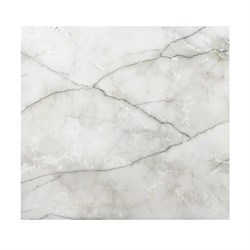 Плитка TSC керамогранитная 60*60 TP66M109 - фото 143687