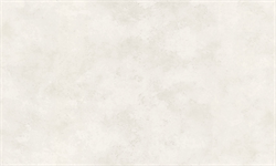 Обои АСПЕКТ РУ Карелия фон 70632-22 1,06*10,05м (1упак-6рул) - фото 144185