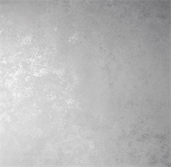 Обои VS Richard 585055 виниловые 1,06*10,05м (1упак-6рул) (МАЯКПРИНТ) - фото 144199