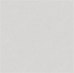 Обои VS Magnolia фон 585111 виниловые 1,06*10,05м (1упак-6рул) (МАЯКПРИНТ) - фото 144251