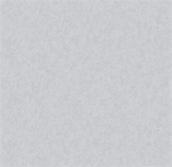 Обои VS Olympia фон 585329 виниловые 1,06*10,05м (1упак-6рул) (МАЯКПРИНТ) - фото 144291