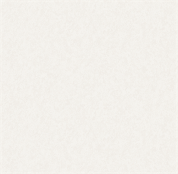 Обои VS Olympia фон 585321 виниловые 1,06*10,05м (1упак-6рул) (МАЯКПРИНТ) - фото 144302