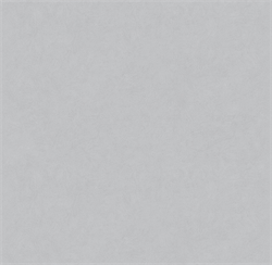 Обои VS Magnolia фон 585117 виниловые 1,06*10,05м (1упак-6рул) (МАЯКПРИНТ) - фото 144526