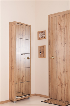 Шкаф для обуви Айрон Люкс 5-ти секционный (дуб Вотан/зеркало) - фото 144718