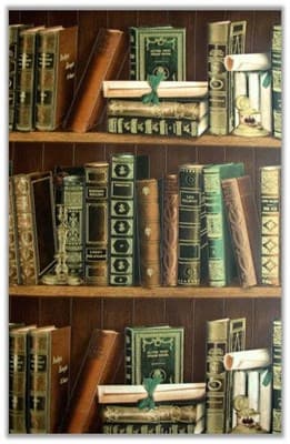 Обои EURO DECOR Библиотека 2003-04 виниловые 0,53*10м (1упак-9рул) - фото 15388