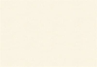 Обои VS Paulina фон 888661 виниловые 1,06*10,05м (1упак-6рул) (МАЯКПРИНТ) - фото 17746