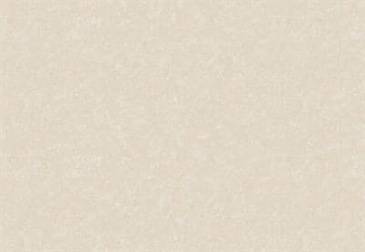 Обои VS Paulina фон 888666 виниловые 1,06*10,05м (1упак-6рул) (МАЯКПРИНТ) - фото 17839