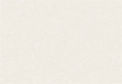 Обои VS Paulina фон 888662 виниловые 1,06*10,05м (1упак-6рул) (МАЯКПРИНТ) - фото 18008