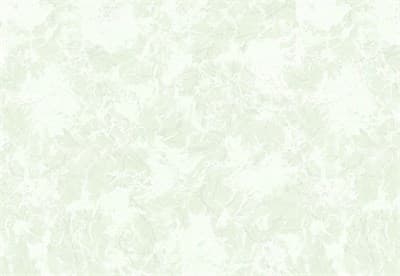 Обои ФОКС Провинция-2 2647-90 2В1(Т1) виниловые 0,53*10,05м (1упак-12рул) - фото 18193