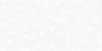 Плитка ALMA CERAMICA облицовочная Brillar 249*500*8,5 TWU09BRL030 - фото 20306