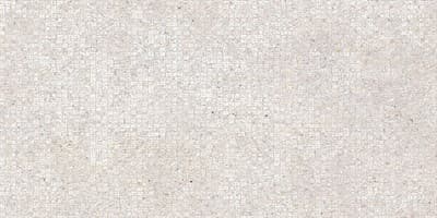Плитка ALMA CERAMICA облицовочная Ojen 249*500*8,5 TWU09OJN004 - фото 20674