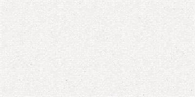 Плитка ALMA CERAMICA облицовочная Ojen 249*500*8,5 TWU09OJN000 - фото 20675
