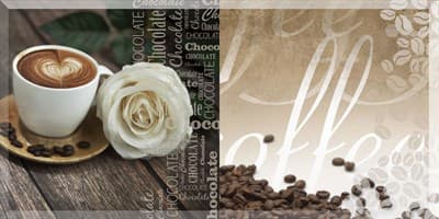 Вставка ALMA CERAMICA Arabica на белом корич 249*500 DWU09ARB044/9ВСАБ044 - фото 21065