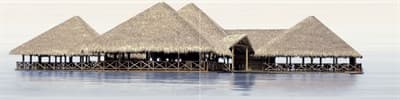 Панно ALMA CERAMICA из 2-х плиток Del Mare 249*500 PWU09DLM1/9ПНДМ1 - фото 21077