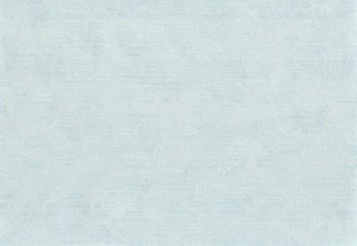 Обои EURO DECOR Crown фон 9030-03 виниловые 1,06*10,05м (1упак-6рул) - фото 24411