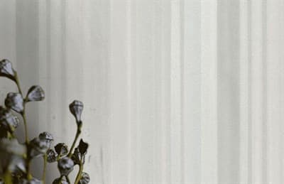 Обои Yudashkin 82027 1,06*10,05м (1упак-4рул) (Emiliana) (Yudashkin 2) - фото 30910