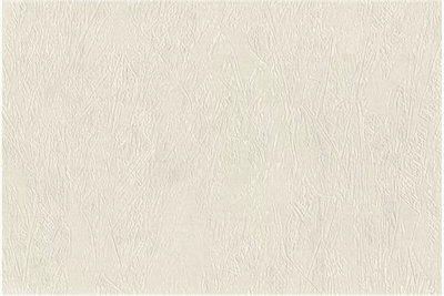 Обои EURO DECOR Scandi фон 9040-00 виниловые 1,06*10,05м (1упак-6рул) - фото 38313